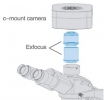 فتوتیوب Exfocus 0.5X-L جهت نصب دوربین برروی میکروسکوپ Leica سه چشمی