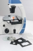 میکروسکوپ بیولوژی اینورت مدل ICX40T